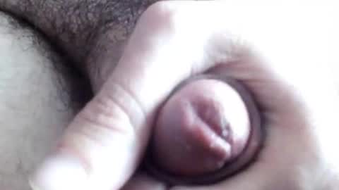 peiboluna online show from February 23, 2025, 6:28 am