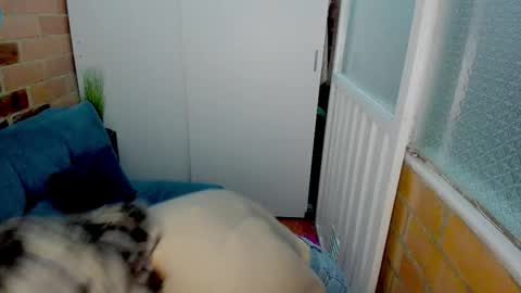 Penelope online show from March 11, 2026, 10:38 pm