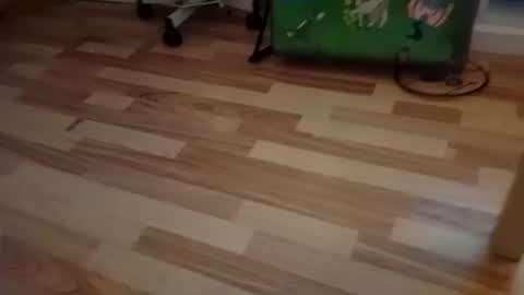 pepe_hard online show from March 2, 2026, 6:58 am