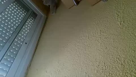 Snapshot of perales_12345 chatting on April 19, 2026, 10:25 am perales_12345 online show from April 19, 2026, 10:25 am