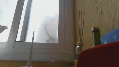 Snapshot of perales_12345 chatting on June 14, 2026, 3:25 pm perales_12345 online show from June 14, 2026, 3:25 pm