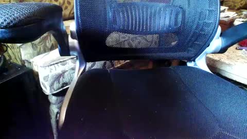 Snapshot of perfecto337 chatting on September 11, 2025, 9:04 pm perfecto337 online show from September 11, 2025, 9:04 pm