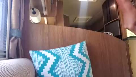 Snapshot of pete_le_meat chatting on July 18, 2026, 10:52 am pete_le_meat online show from July 18, 2026, 10:52 am
