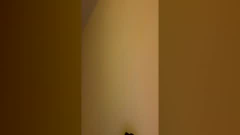 Snapshot of pete_mac chatting on June 14, 2026, 11:23 am Pete online show from June 14, 2026, 11:23 am