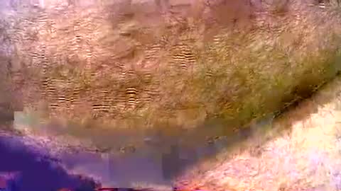 Snapshot of peterpeteropoulos chatting on August 3, 2026, 7:06 pm peterpeteropoulos online show from August 3, 2026, 7:06 pm