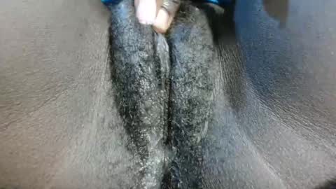 petiteme1 online show from January 21, 2025, 8:21 pm