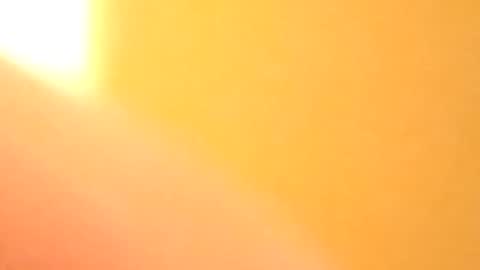 Snapshot of petw45 chatting on February 25, 2026, 2:21 am petw45 online show from February 25, 2026, 2:21 am