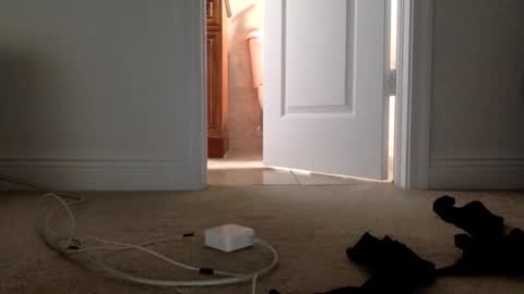 Its always better when its forbidden online show from April 1, 2026, 4:48 pm