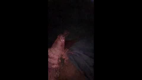 Snapshot of philllllll508346 chatting on December 21, 2025, 5:47 am philllllll508346 online show from December 21, 2025, 5:47 am