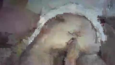 Snapshot of piggyplaypen chatting on June 3, 2026, 8:36 pm piggyplaypen online show from June 3, 2026, 8:36 pm