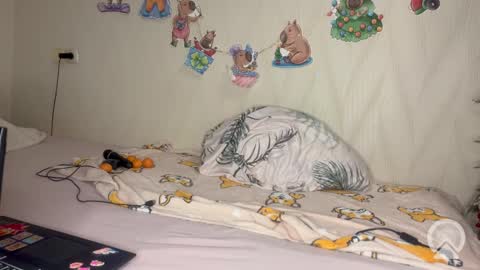 Pikachu pika online show from February 19, 2026, 10:06 pm