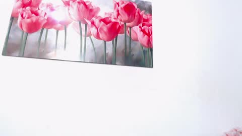 pinky_f00x online show from April 11, 2026, 8:02 pm