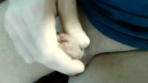 pippo online show from May 31, 2026, 9:16 pm