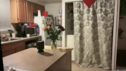 pirdybirdyxo online show from January 30, 2025, 4:06 am