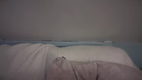 pirdybirdyxo online show from February 26, 2025, 3:42 am