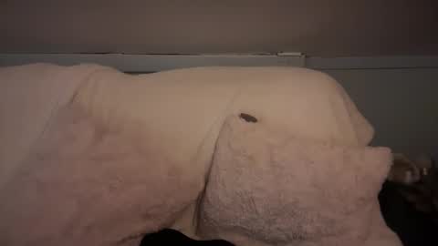 pirdybirdyxo online show from March 2, 2025, 6:37 am