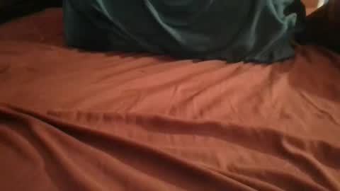 Plague Cockter online show from February 24, 2026, 5:49 am