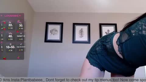 Snapshot of plantbabeee chatting on December 2, 2024, 7:16 pm Plantbabeee online show from December 2, 2024, 7:16 pm