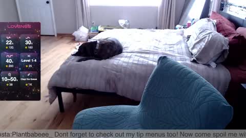 Snapshot of plantbabeee chatting on February 26, 2025, 6:00 pm Plantbabeee online show from February 26, 2025, 6:00 pm