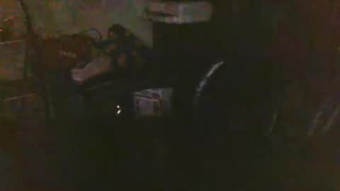 pnwbull25 online show from March 27, 2026, 9:32 am