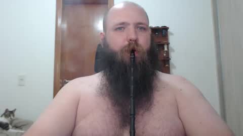 Bear online show from February 17, 2025, 3:58 am