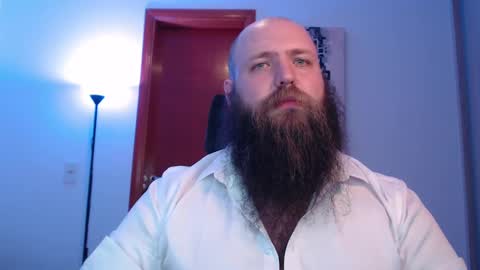 Bear online show from February 23, 2025, 8:17 am