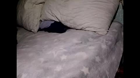 Snapshot of pollachico chatting on November 28, 2025, 8:06 am pollachico online show from November 28, 2025, 8:06 am