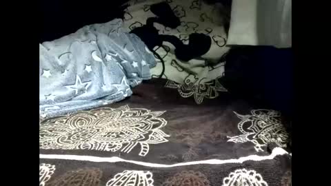 Snapshot of pollachico chatting on February 18, 2026, 8:32 am pollachico online show from February 18, 2026, 8:32 am