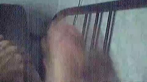 polochar online show from March 15, 2026, 4:40 am