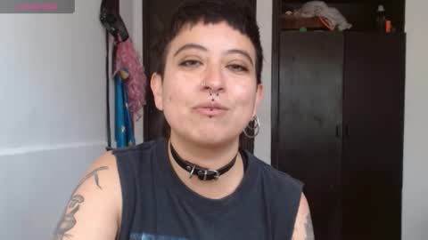 Poly online show from December 5, 2024, 1:38 pm