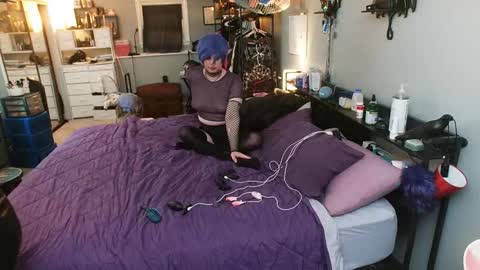 PolyCircus online show from November 23, 2025, 5:40 am