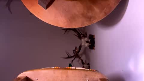 Snapshot of pornstriker chatting on October 19, 2025, 4:24 am PornStriker online show from October 19, 2025, 4:24 am