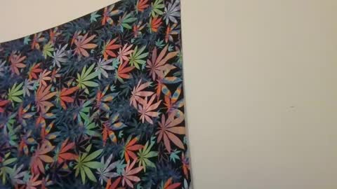 Snapshot of presidentialbryana chatting on January 19, 2025, 6:09 am Libra Lamont online show from January 19, 2025, 6:09 am