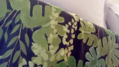 pretty_boy_jack online show from January 8, 2025, 1:00 am