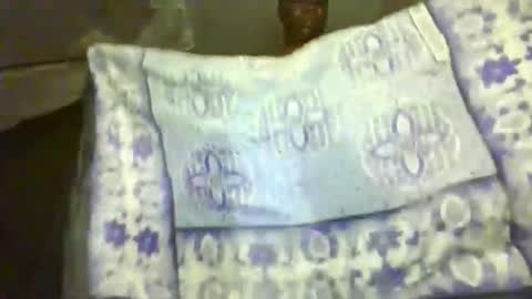 Snapshot of prettydulce chatting on May 17, 2026, 2:20 am prettydulce online show from May 17, 2026, 2:20 am