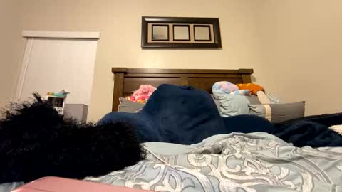 prettyfacefemale online show from February 19, 2026, 7:04 am