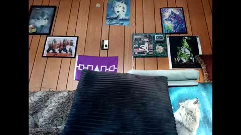 Snapshot of prettysolid7 chatting on February 6, 2026, 2:09 pm prettysolid7 online show from February 6, 2026, 2:09 pm