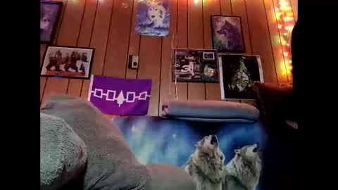 Snapshot of prettysolid7 chatting on February 9, 2026, 10:52 am prettysolid7 online show from February 9, 2026, 10:52 am