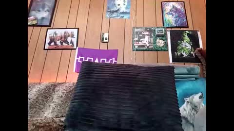 Snapshot of prettysolid7 chatting on February 14, 2026, 1:08 pm prettysolid7 online show from February 14, 2026, 1:08 pm