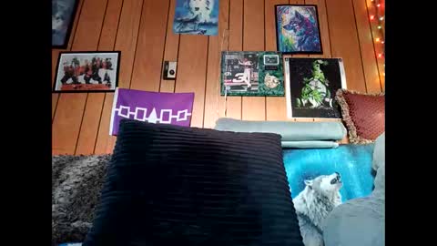 Snapshot of prettysolid7 chatting on February 15, 2026, 12:58 pm prettysolid7 online show from February 15, 2026, 12:58 pm