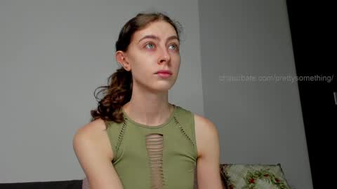 Snapshot of prettysomething chatting on January 28, 2025, 3:35 pm Sophie next stream will be at Monday i will wait you guys online show from January 28, 2025, 3:35 pm