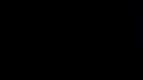 Priapisman online show from January 13, 2026, 9:14 am