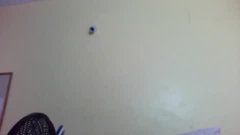 phelly online show from February 4, 2026, 11:42 pm