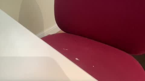 Snapshot of pritchj chatting on March 10, 2025, 12:37 pm pritchj online show from March 10, 2025, 12:37 pm