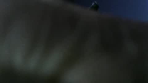 privatefuckit online show from January 5, 2026, 9:51 pm