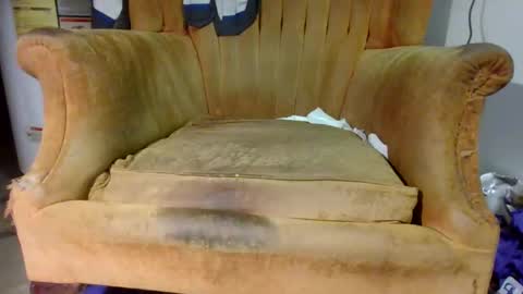 pspee313 online show from November 1, 2025, 11:18 pm