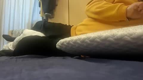 Pulp online show from January 14, 2025, 9:02 am