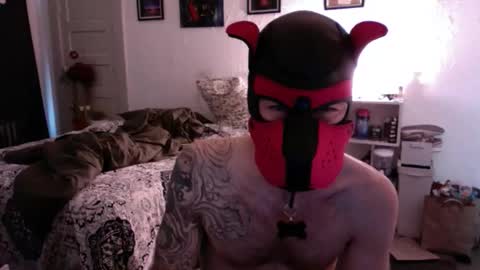 pupsuede online show from March 15, 2026, 7:20 pm