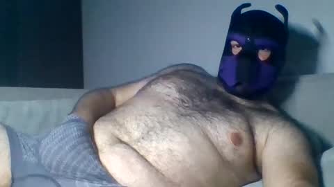 Snapshot of purple_pup_bear chatting on August 6, 2026, 9:39 pm purple_pup_bear online show from August 6, 2026, 9:39 pm