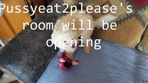 Snapshot of pussyeat2please chatting on February 8, 2025, 10:29 am Rick online show from February 8, 2025, 10:29 am